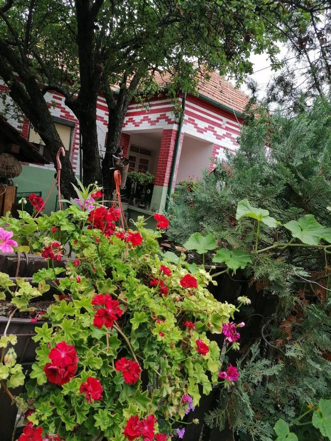 Etno Apartmani "Vlaska Kuca" Kladovo Exterior foto