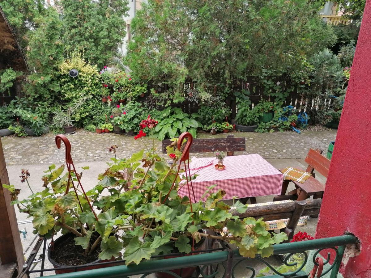Etno Apartmani "Vlaska Kuca" Kladovo Exterior foto